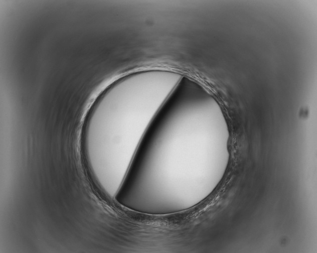 X0000100360200200806060830