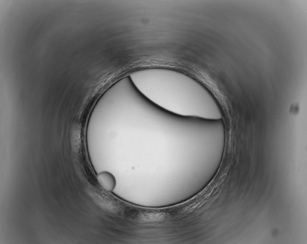 X0000100360202200806060830