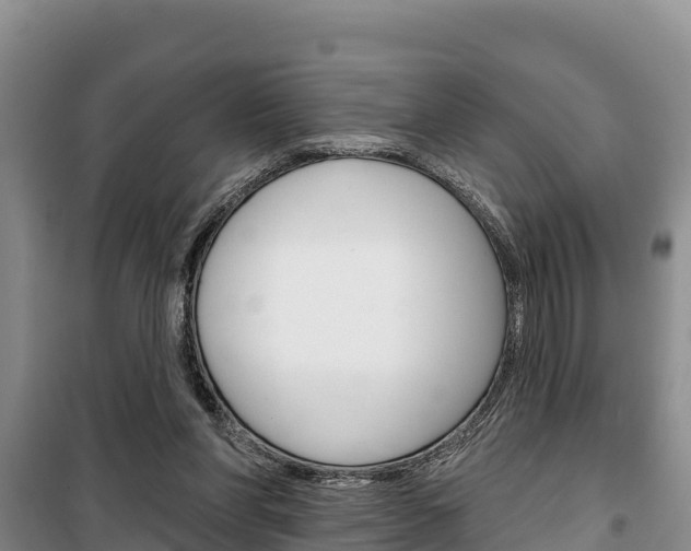 X0000100360206200806060830