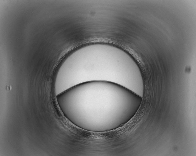 X0000100360207200806060830