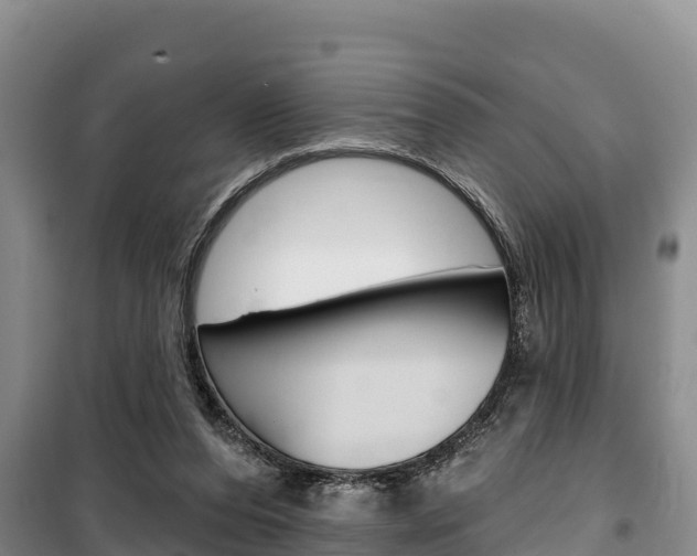X0000100360208200806060830