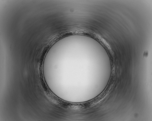 X0000100360209200806060830