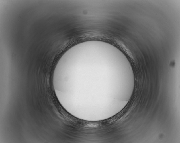 X0000100360213200806060830