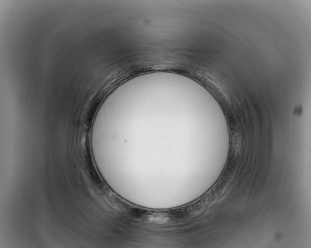 X0000100360214200806060830