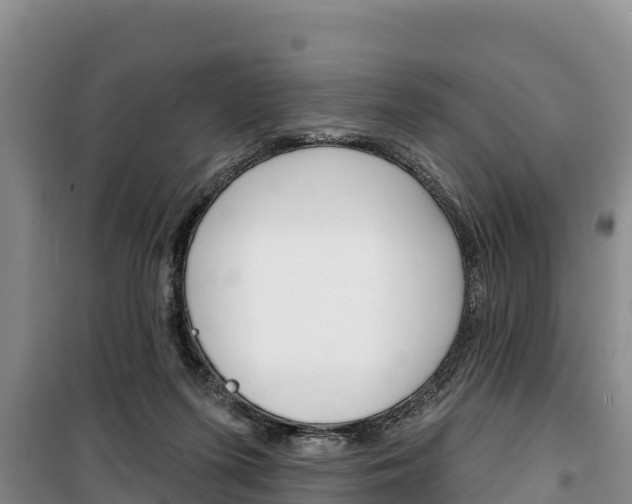 X0000100360215200806060830