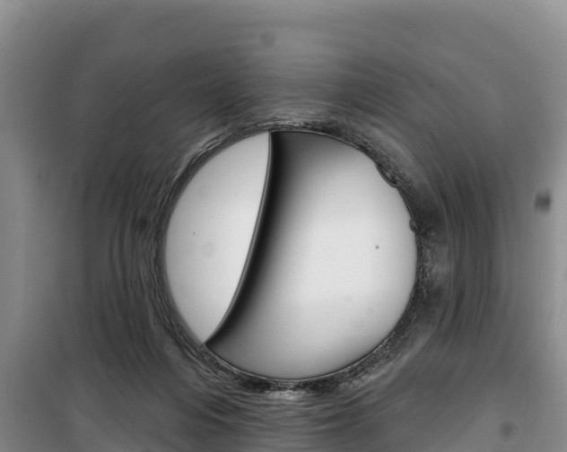 X0000100360216200806060830