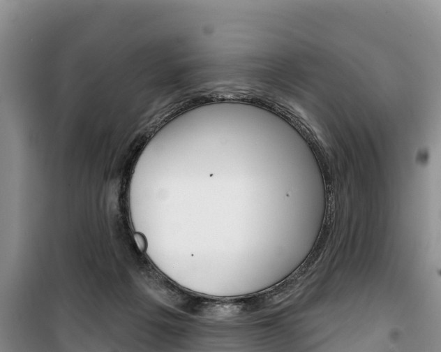 X0000100360217200806060830