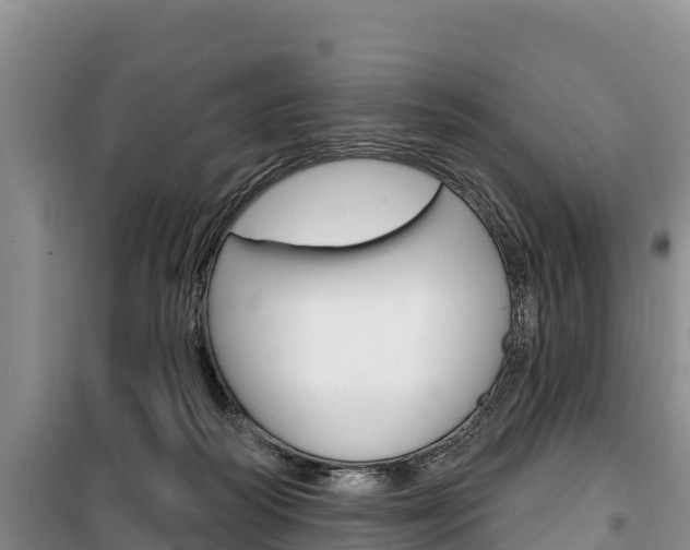 X0000100360218200806060830