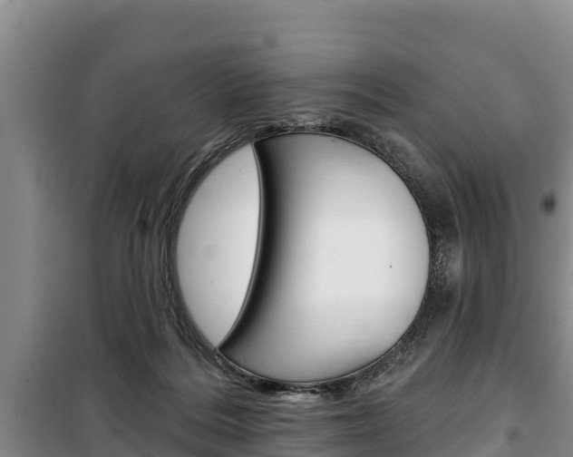 X0000100360220200806060830
