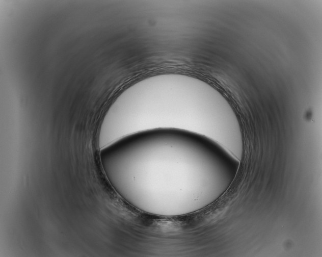 X0000100360221200806060830