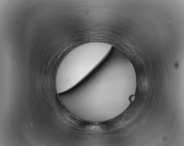 X0000100360224200806060830