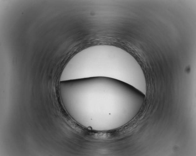 X0000100360225200806060830