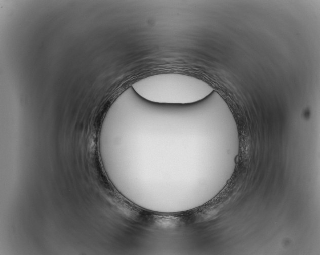 X0000100360226200806060830