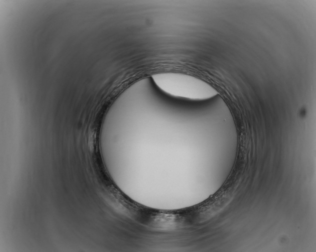 X0000100360227200806060830