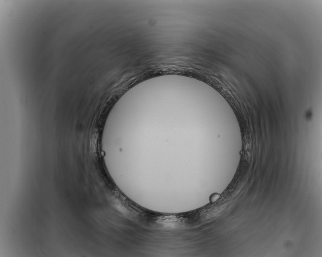 X0000100360231200806060830