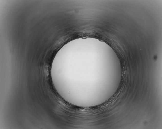 X0000100360232200806060830