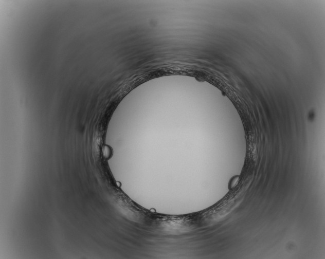 X0000100360235200806060830