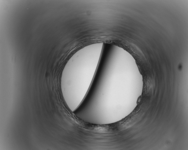 X0000100360236200806060830