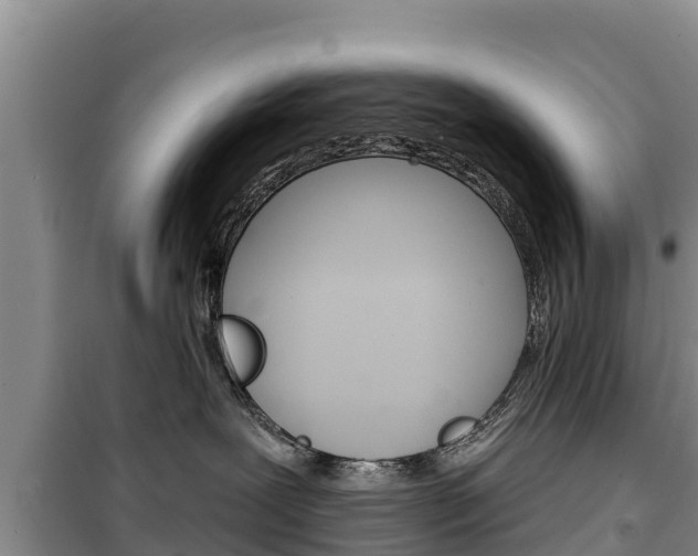 X0000100360239200806060830