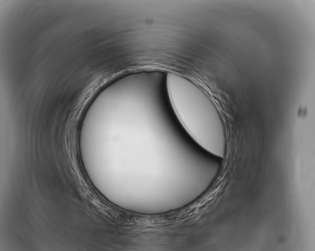 X0000100360241200806060829