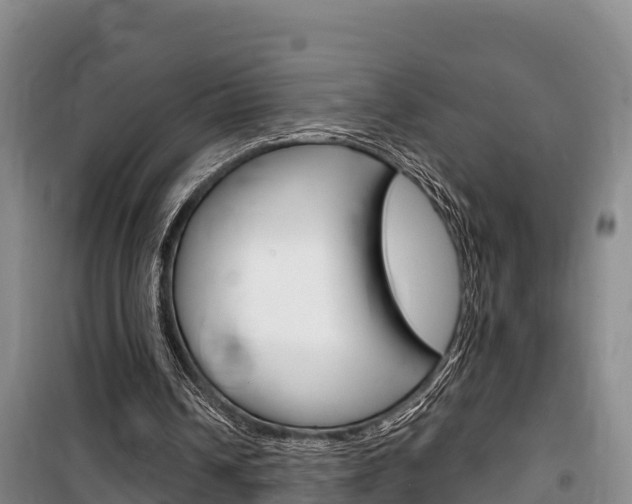 X0000100360242200806060829