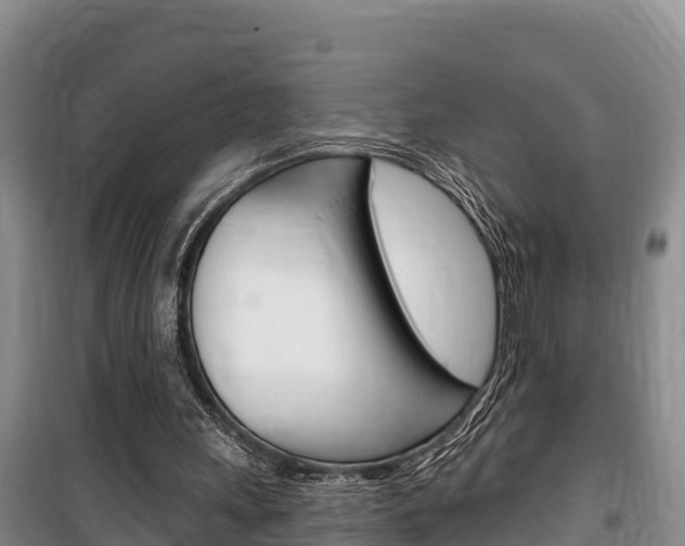 X0000100360243200806060829