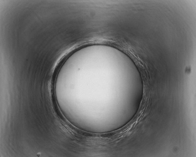 X0000100360244200806060829