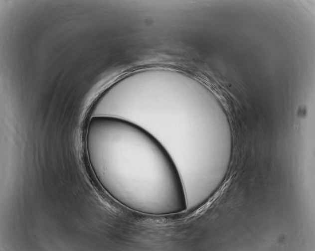 X0000100360245200806060829