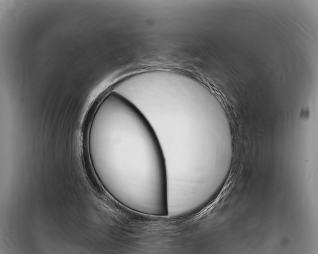 X0000100360246200806060829
