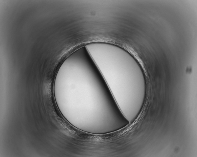 X0000100360249200806060829
