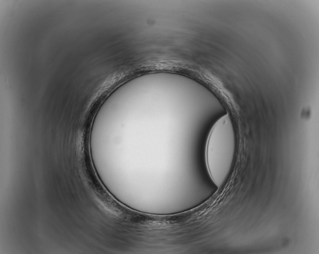 X0000100360250200806060829