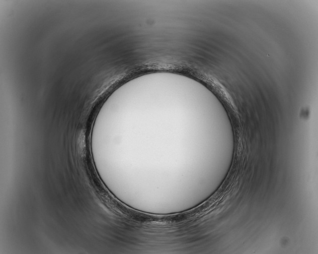 X0000100360251200806060829