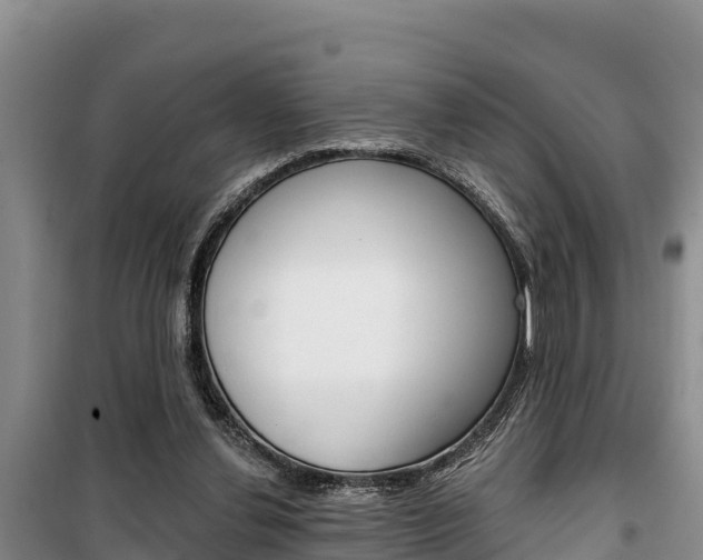 X0000100360252200806060829