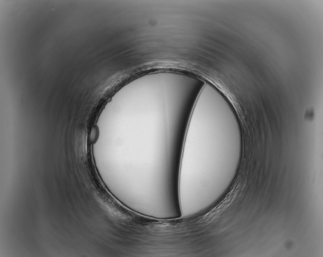 X0000100360253200806060829