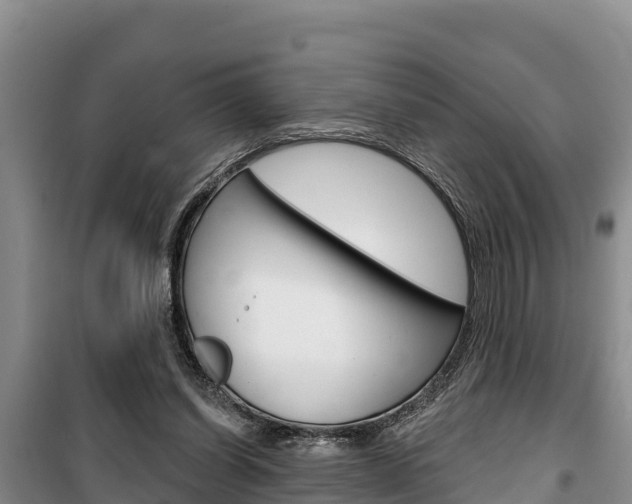 X0000100360254200806060829