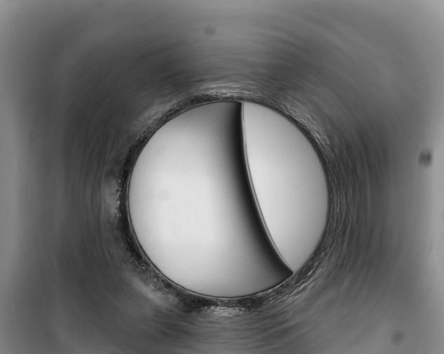 X0000100360255200806060829