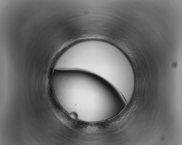 X0000100360256200806060829