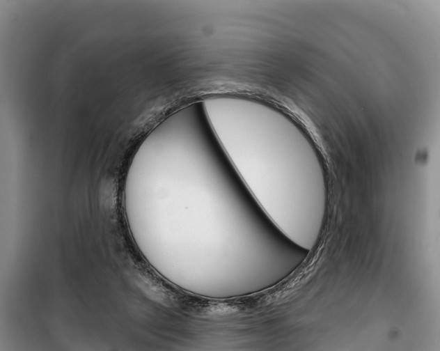 X0000100360257200806060829