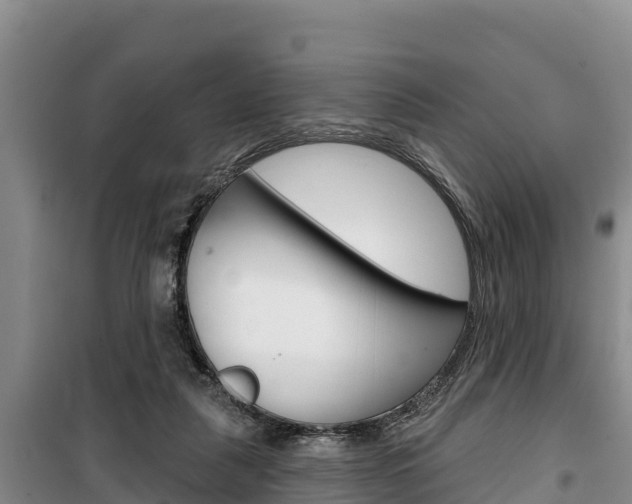 X0000100360259200806060829