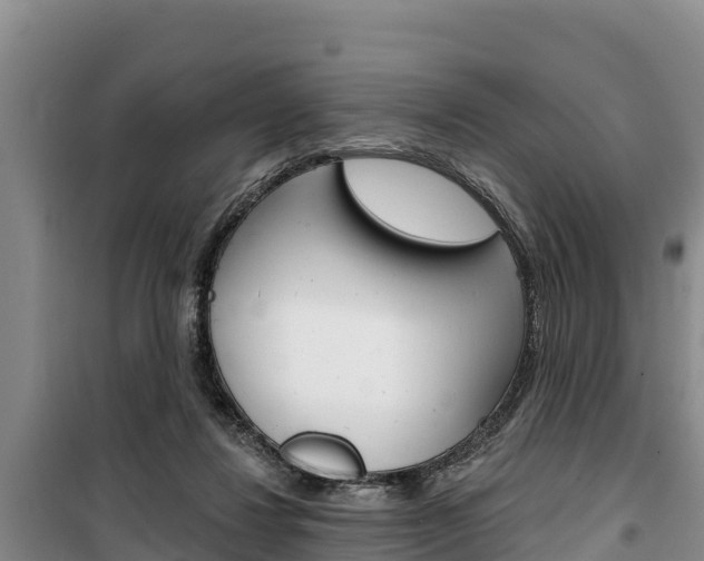X0000100360260200806060829