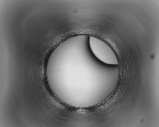 X0000100360261200806060829