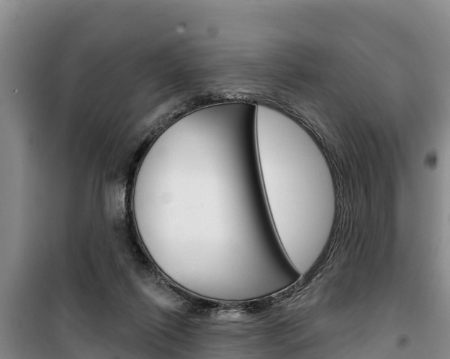 X0000100360262200806060829