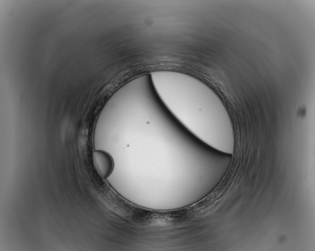 X0000100360263200806060829