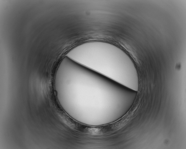 X0000100360265200806060829