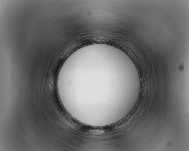 X0000100360266200806060829