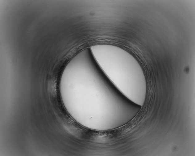 X0000100360267200806060830