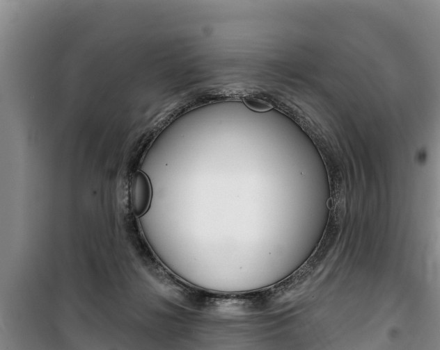 X0000100360268200806060830