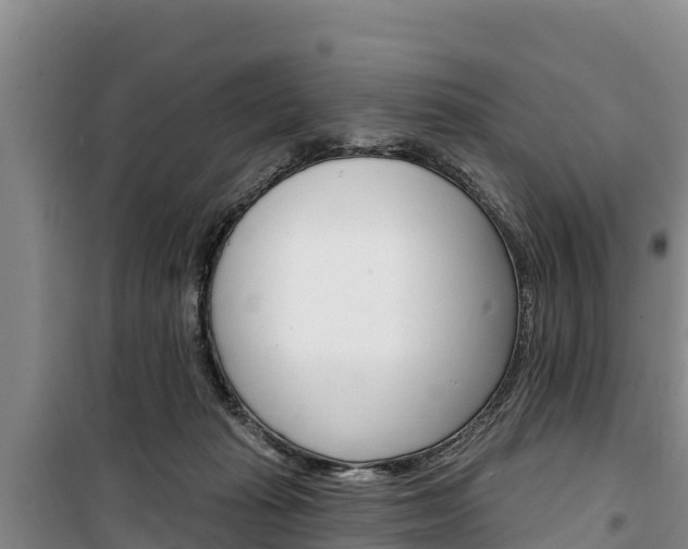 X0000100360269200806060830