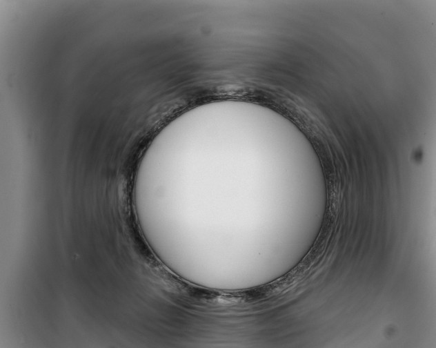 X0000100360270200806060830