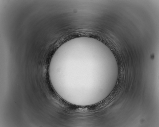 X0000100360271200806060830